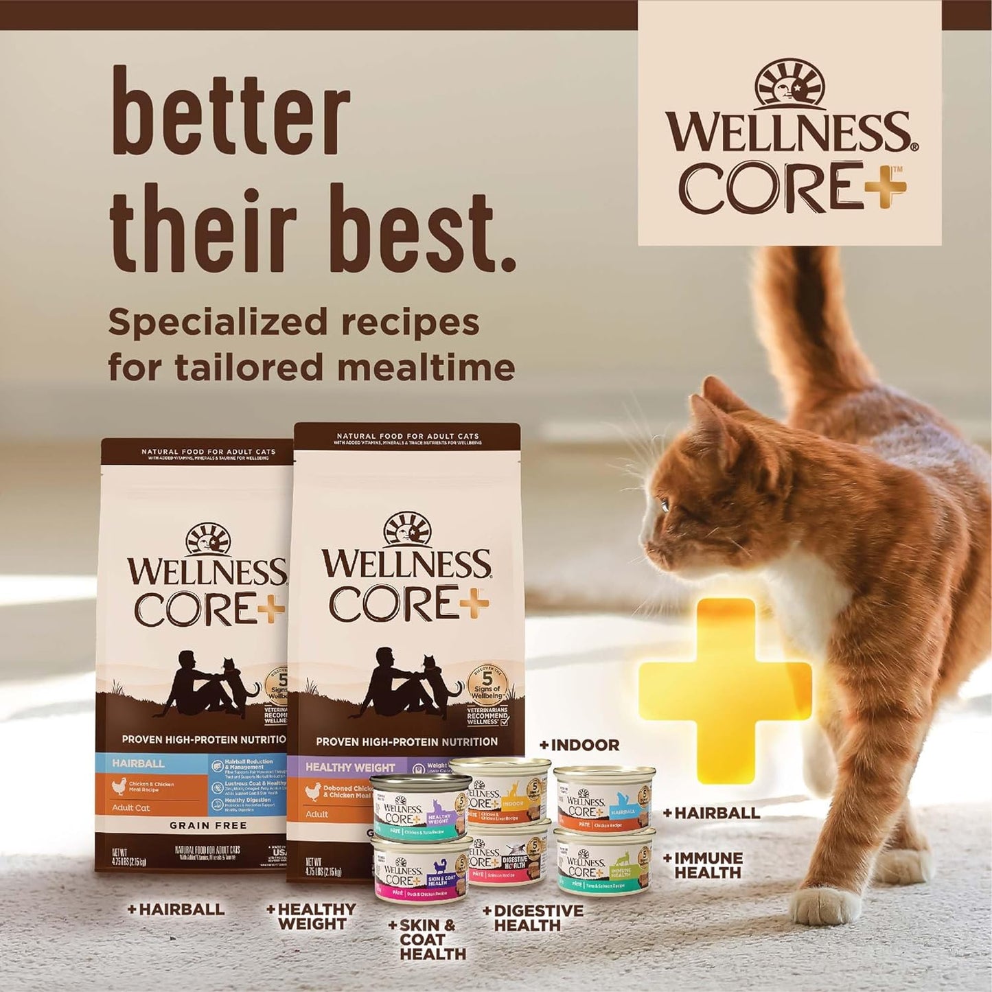 CORE Grain Free Dry Cat Food, High Protein Cat Food, Indoor, Chicken, Turkey & Chicken Meal, Natural, Made in USA, Cat Food, Adult
