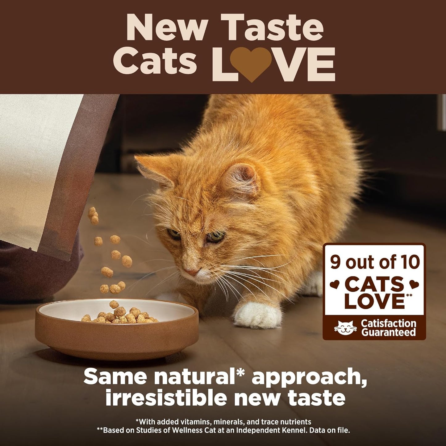 CORE Grain Free Dry Cat Food, High Protein Cat Food, Indoor, Chicken, Turkey & Chicken Meal, Natural, Made in USA, Cat Food, Adult